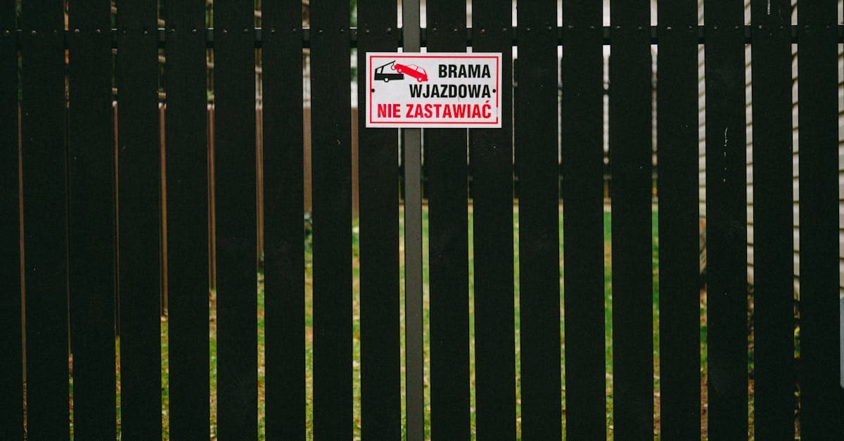 What to Do Immediately After Your Florida Insurance Lapses