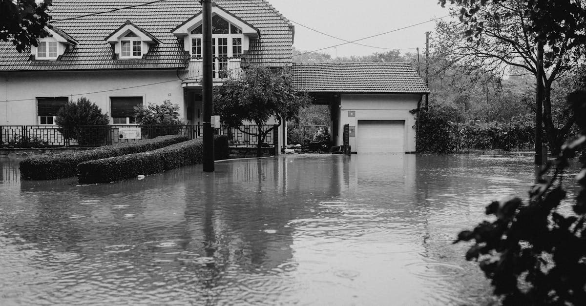 Cover Image for Appliance Overflow and Water Damage: Filing the Right Claim
