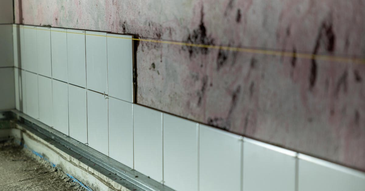 Cover Image for Mold After Flooding: Why Homeowners Insurance Will Not Pay