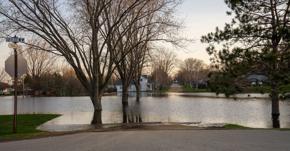 Flood Zones Explained: What Your Flood Zone Means for Insurance