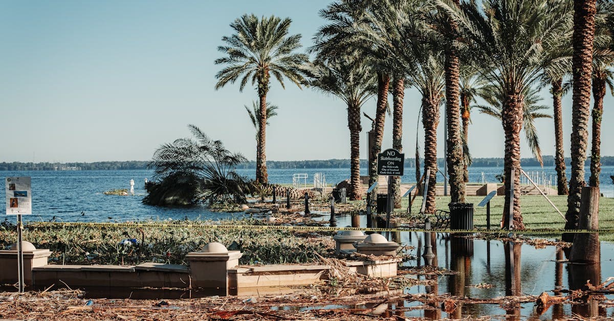 Cover Image for What Florida Law Says About Hurricane Deductibles on Homeowners Insurance