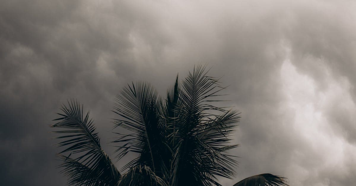 Cover Image for The Difference Between Hurricane and Named Storm Deductibles