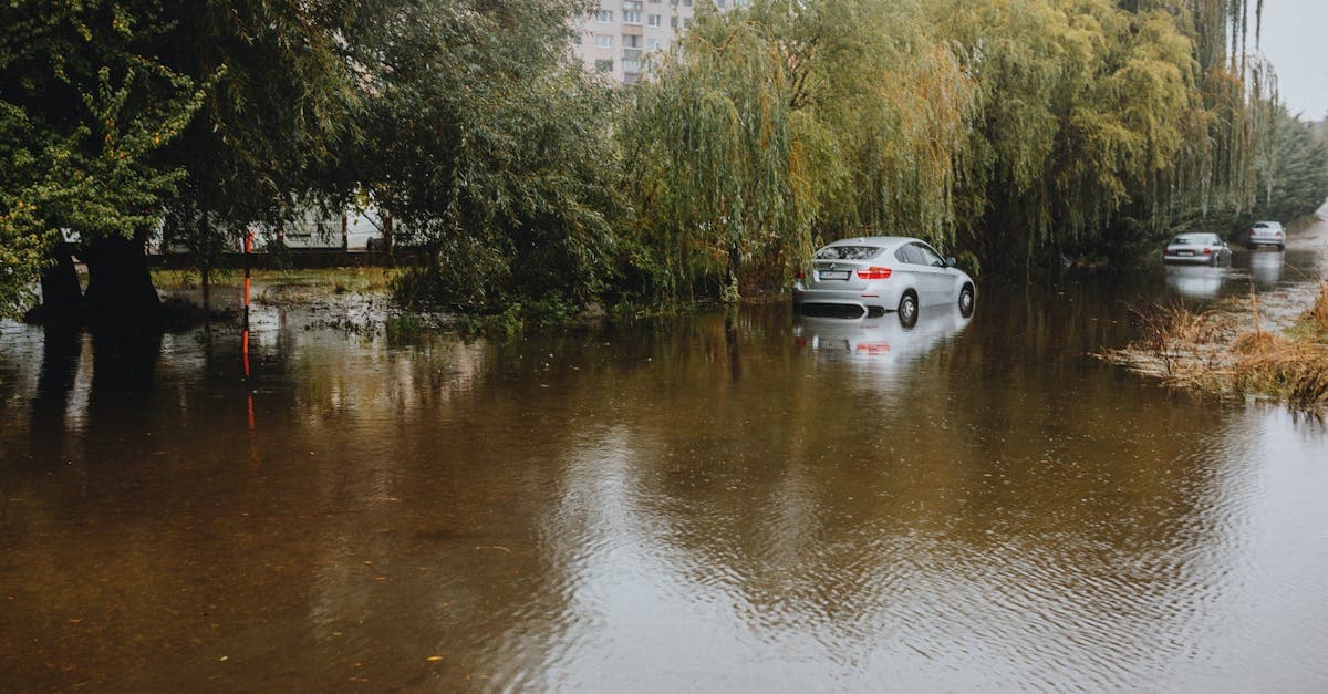 Cover Image for The RCBAP Explained: How Your Condo Building Gets Flood Insurance